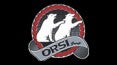 Orsi